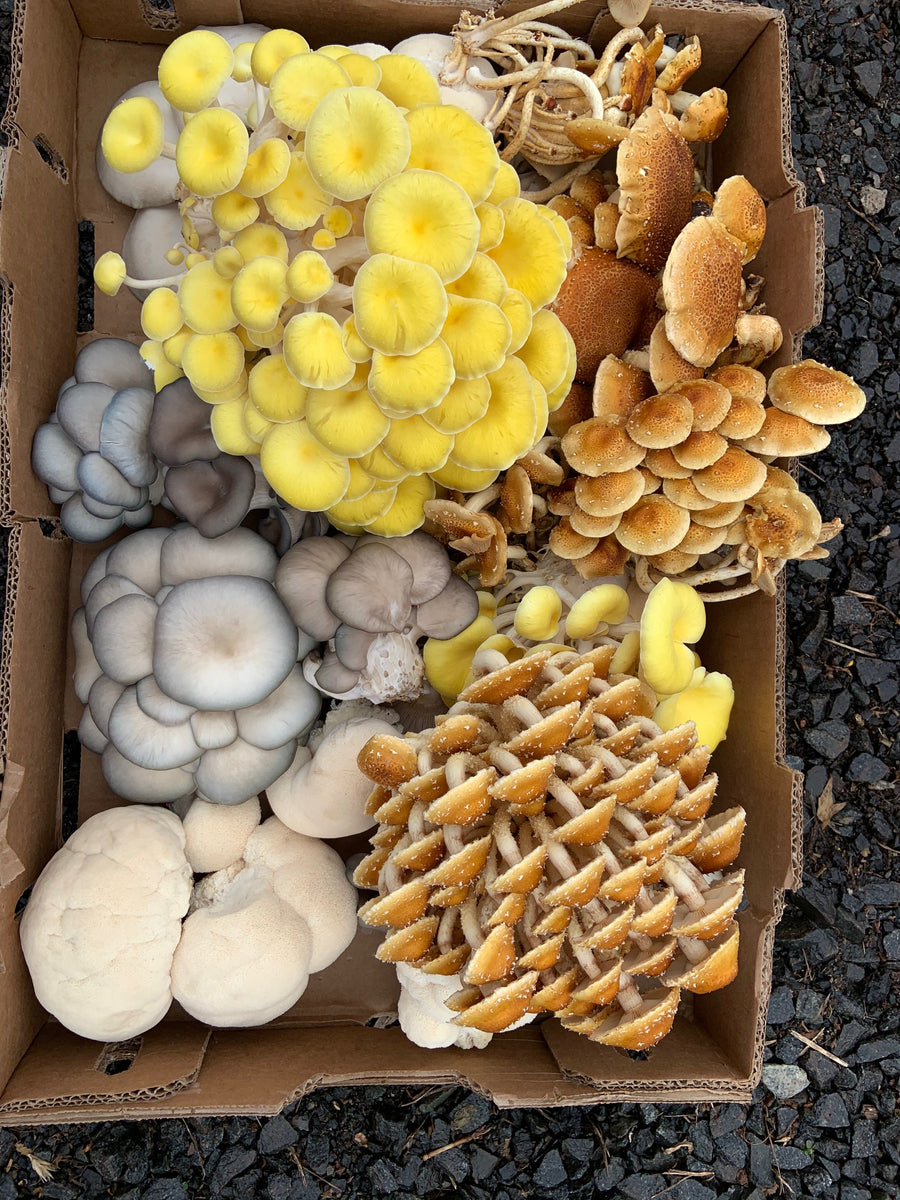 ZELL'S FARM LLC. photo