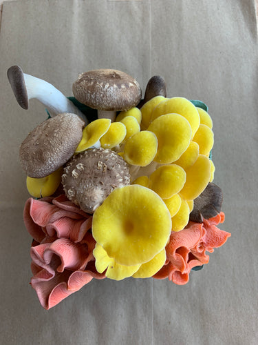 Mushroom+Mooncake+Fuji Apples Gift box 1