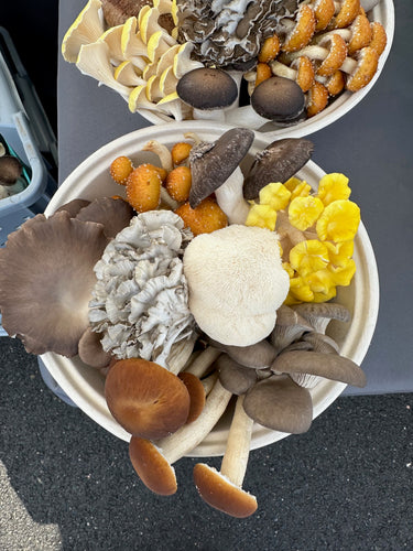2026 Mushroom CSA – Zell's Farm