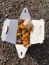 Load image into Gallery viewer, CSA Mushroom Jumbo Medley-1.5lbs 39 Weeks
