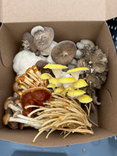 Load image into Gallery viewer, CSA Mushrooms family size medley 2.5lbs;39 Weeks
