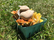 Load image into Gallery viewer, Mushroom+Mooncake+Fuji Apples Gift box 1