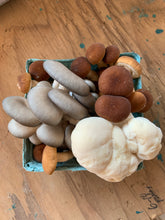 Load image into Gallery viewer, Mushroom quart medley 0.75lb