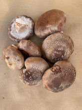 Load image into Gallery viewer, Mushrooms Shiitake - 1/2 lb