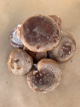 Load image into Gallery viewer, Mushrooms Shiitake - 1/2 lb