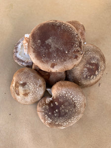Mushrooms Shiitake - 1/2 lb